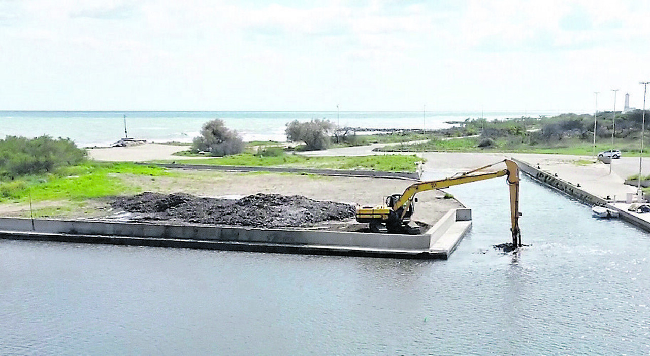 darsena san cataldo invasa dalle alghe il gestore rinuncia alla concessione e accusa il comune si torna punto e a capo