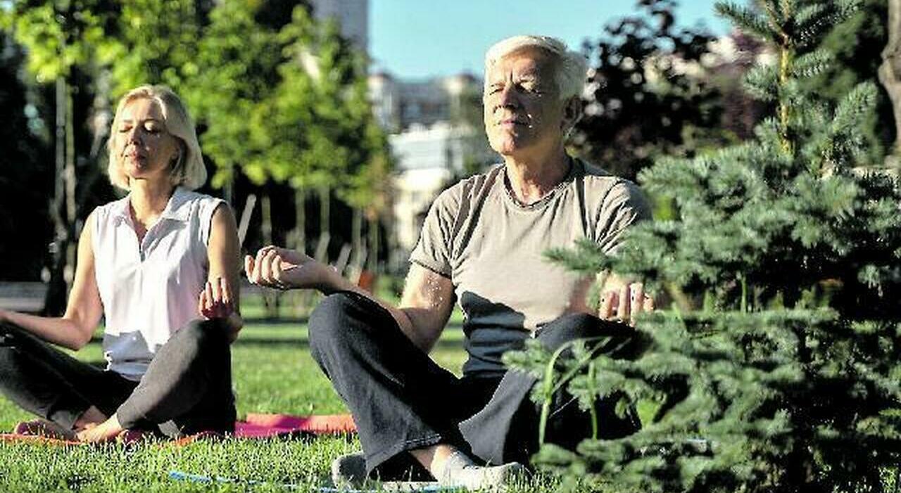 How Stress and High Cortisol Reduce Lifespan and Increase Disease Risk