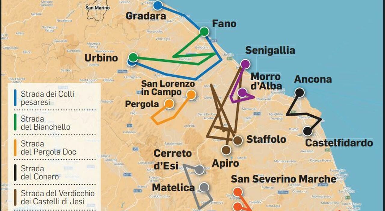 In viaggio sulle orme di Bacco: così il vino rilancia i territori delle Marche. Ecco gli itinerari dell’enoturismo