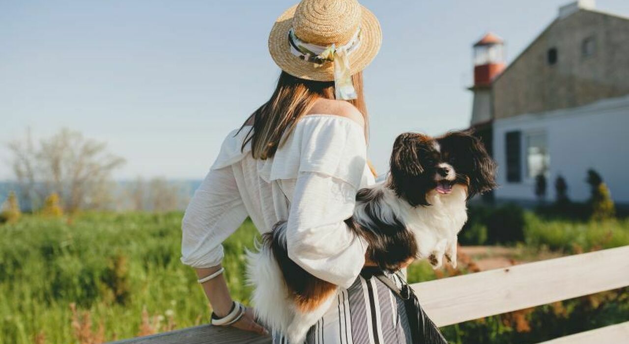 https://statics.cedscdn.it/photos/MED_HIGH/2026/04/21/9486776_21165643_view_from_back_stylish_woman_countryside_holding_dog_happy_positive_mood_summer_straw_hat_bohemian_style_outfit.jpg