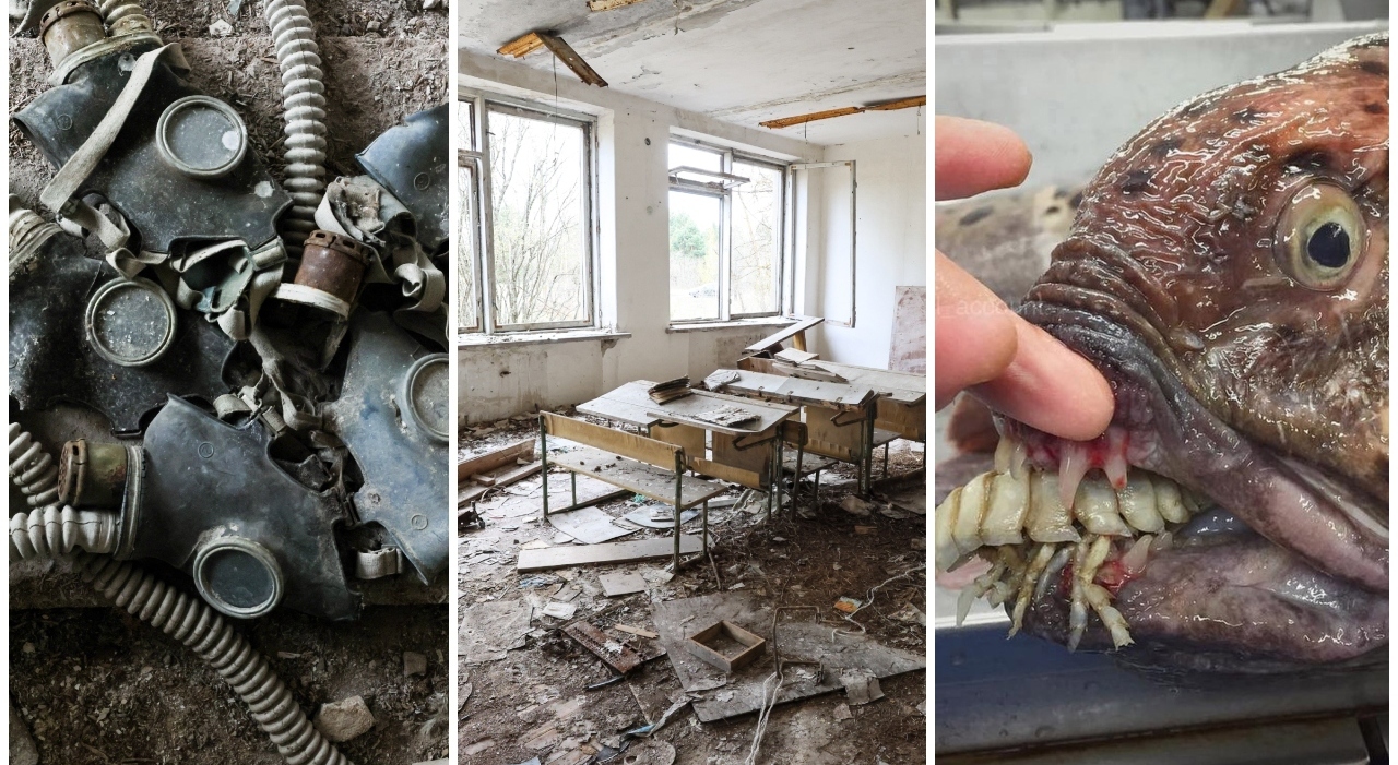 https://statics.cedscdn.it/photos/MED_HIGH/2026/04/25/9495453_25212255_chernobyl.jpg