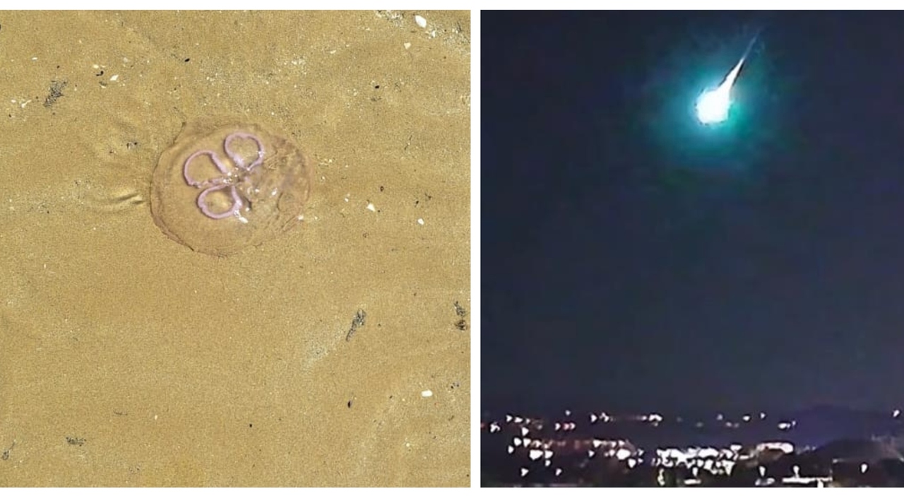 Invasions of Jellyfish, Sea Snow, Three Earthquakes, and a Fireball Lighting Up the Night: 48 Hours of Superquark in the Marche Region – Video Highlights