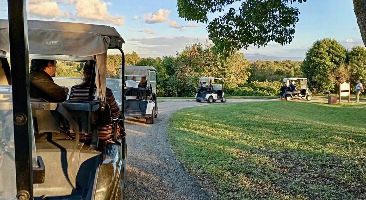 Where Contemporary Art Meets the Green