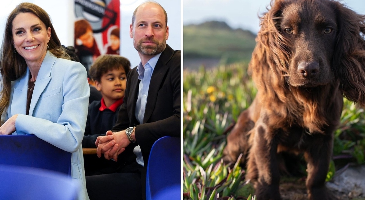 https://statics.cedscdn.it/photos/MED_HIGH/2026/05/03/9509070_03123849_arriva_il_nuovo_cane_di_william_e_kate_benvenuto_otto_oggi_compi_un_anno_._l_amore_per_i_cocker_della_famiglia_reale.jpg