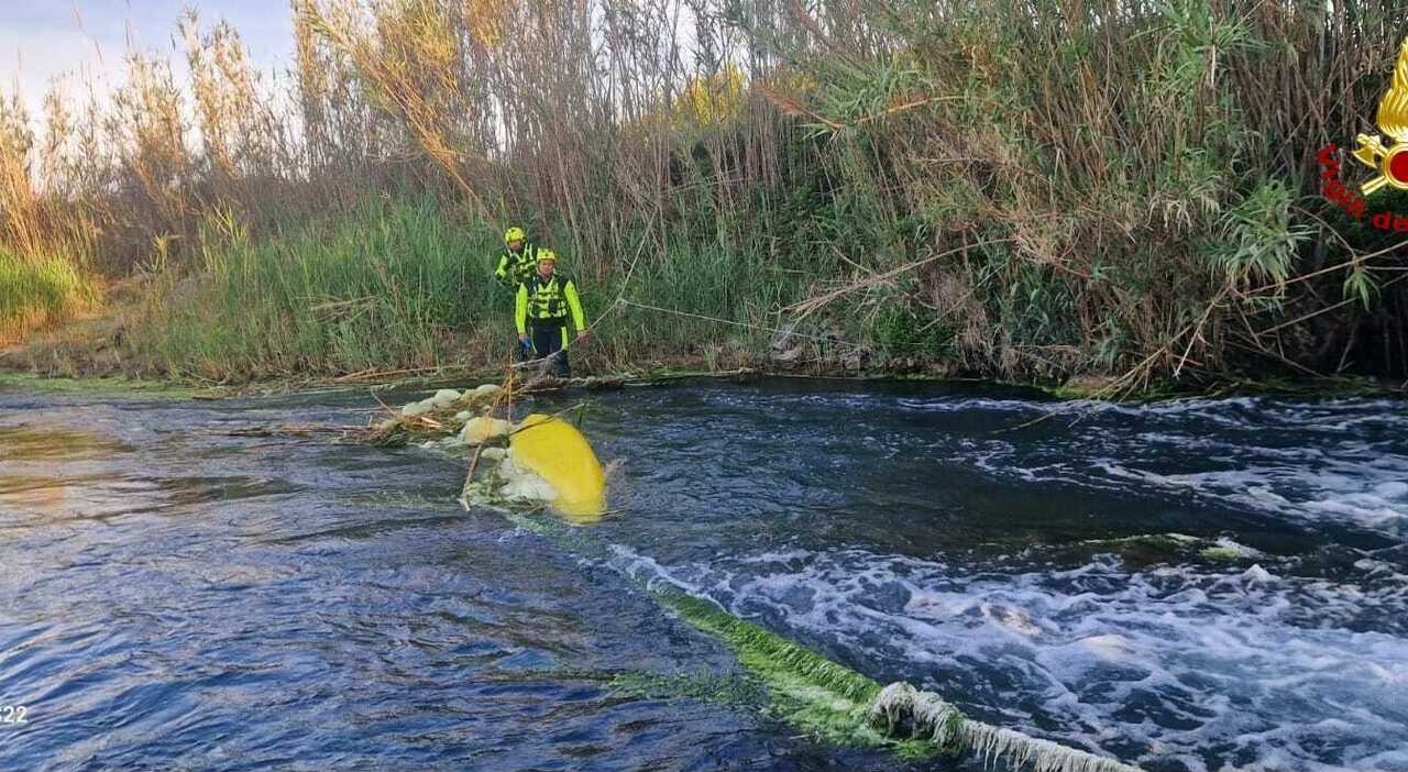 capaccio cadavere nel fiume all interno di un kayak 232 un turista tedesco