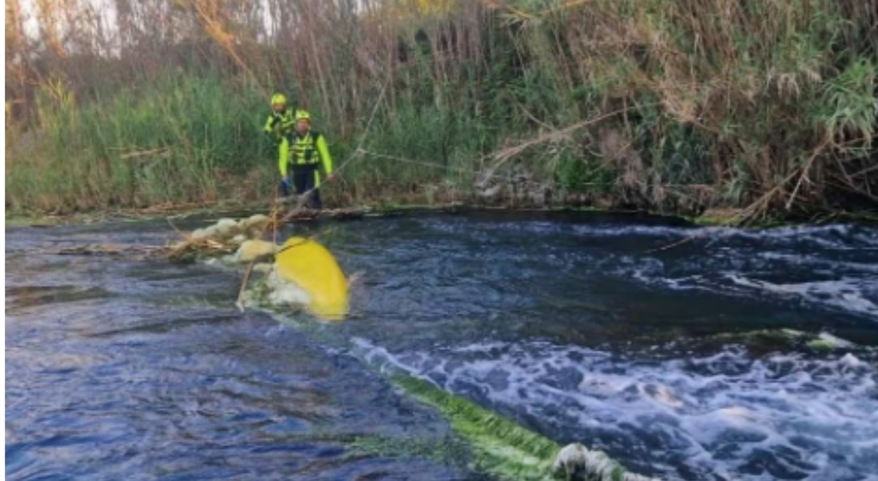 https://statics.cedscdn.it/photos/MED_HIGH/2026/05/04/9510552_04101225_morto_kayak_fiume_capaccio_salerno_oggi.jpg