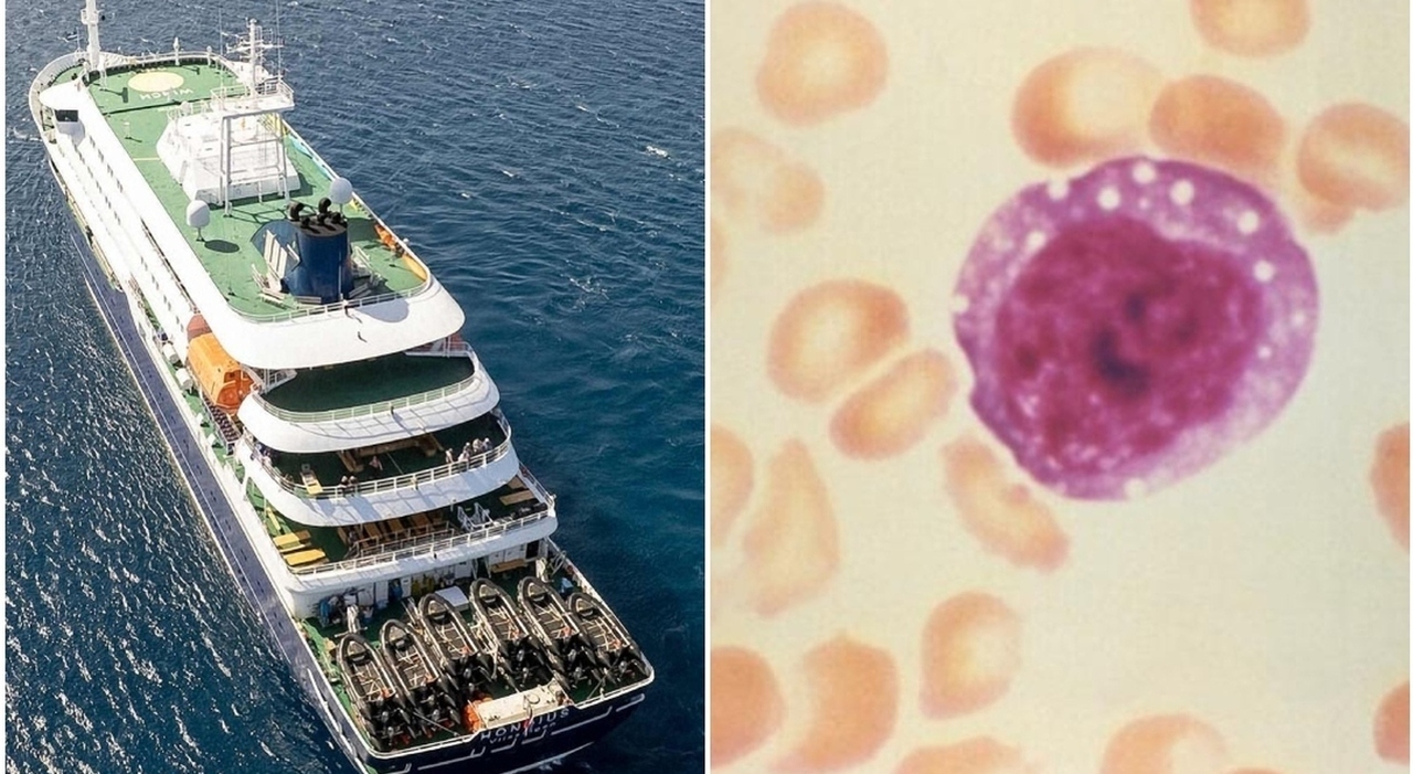 https://statics.cedscdn.it/photos/MED_HIGH/2026/05/04/9511370_04221057_hantavirus_nave_crociera_morti_chi_sono.jpg