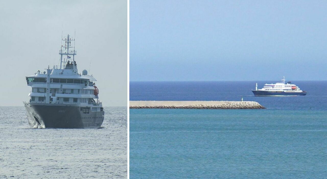 hantavirus l oms possibile contagio uomo uomo sulla nave da crociera negato lo sbarco alle canarie da Ilmattino.it hantavirus l oms possibile contagio uomo uomo sulla nave da crociera negato lo sbarco alle canarie