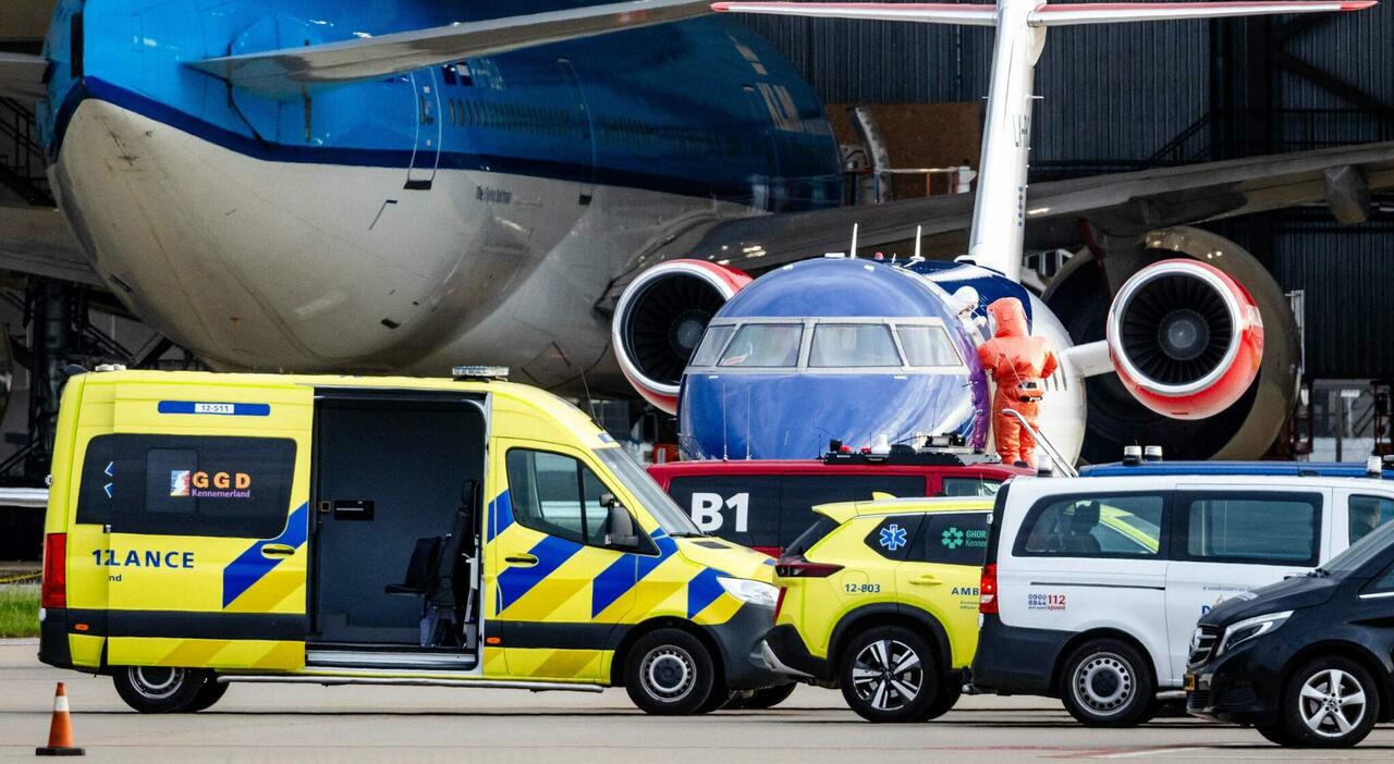 hantavirus quattro passeggeri del volo klm in quarantena uno era a padova per lavoro da Ilgazzettino.it hantavirus quattro passeggeri del volo klm in quarantena uno era a padova per lavoro