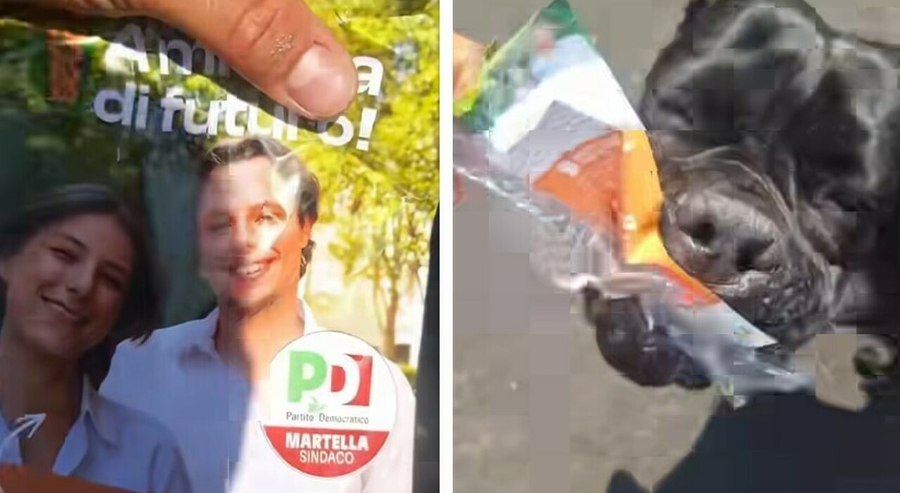 https://statics.cedscdn.it/photos/MED_HIGH/2026/05/11/9525493_11173837_aizza_cane_candidati_pd_video_facebook.jpg