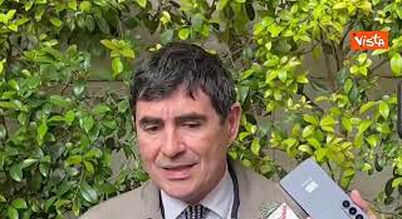 https://statics.cedscdn.it/photos/MED_HIGH/2026/05/13/9529621_poster.jpg