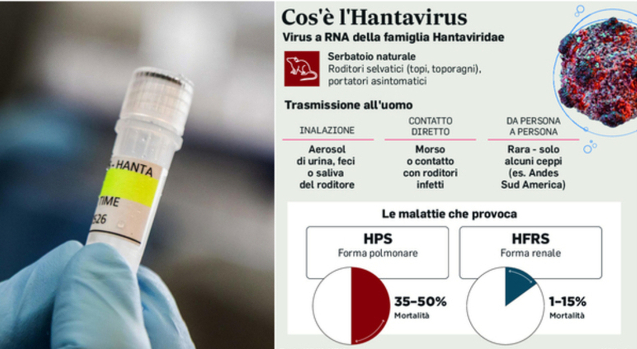 https://statics.cedscdn.it/photos/MED_HIGH/2026/05/13/9529759_13161023_hantavirus_misure_anti_contagio_cosa_fare.jpg