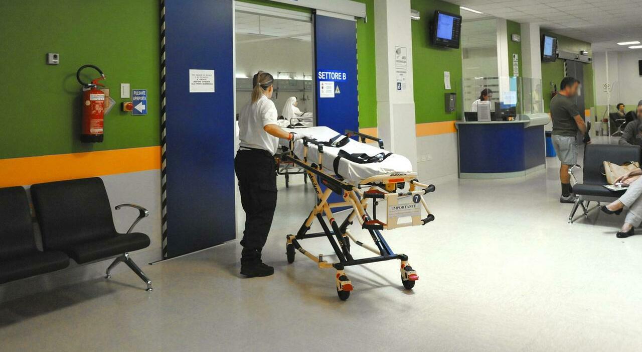 hantavirus scatta il piano di isolamento nei pronto soccorso dopo il covid l attenzione deve rimanere molto alta da Ilgazzettino.it hantavirus scatta il piano di isolamento nei pronto soccorso dopo il covid l attenzione deve rimanere molto alta