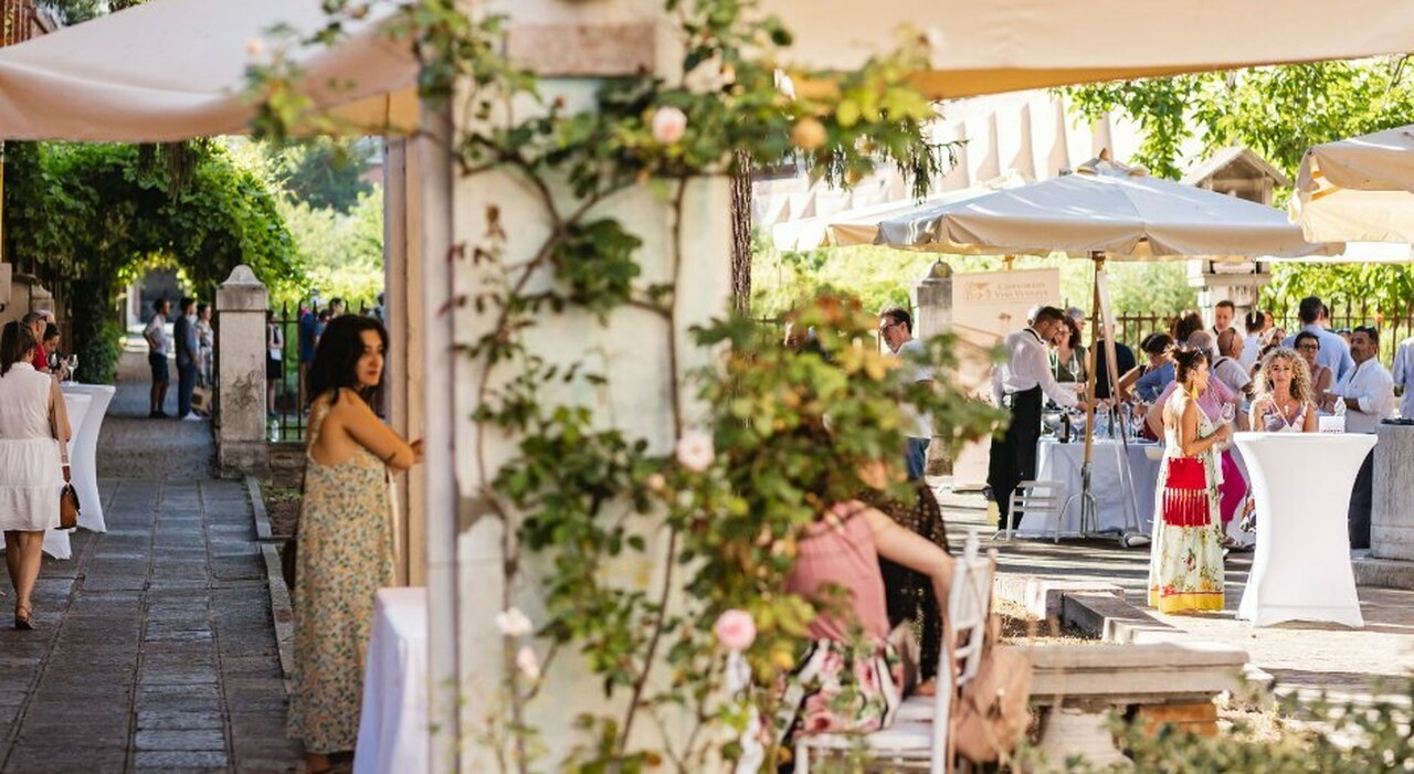 Feel Venice, tutto pronto per la nona edizione: il giardino mistico e i vini del Veneto