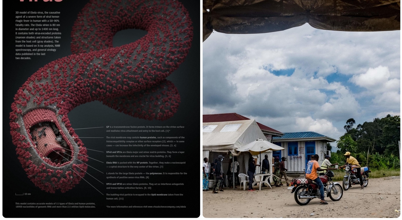 https://statics.cedscdn.it/photos/MED_HIGH/2026/05/19/9541540_19123922_ebola_ceppo_bundibugyo_perche_pericoloso_no_vaccini_oggi.jpg