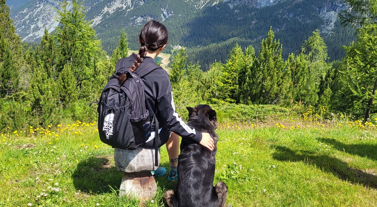 https://statics.cedscdn.it/photos/MED_HIGH/2026/05/19/9541794_19164413_20230715_112643.jpg