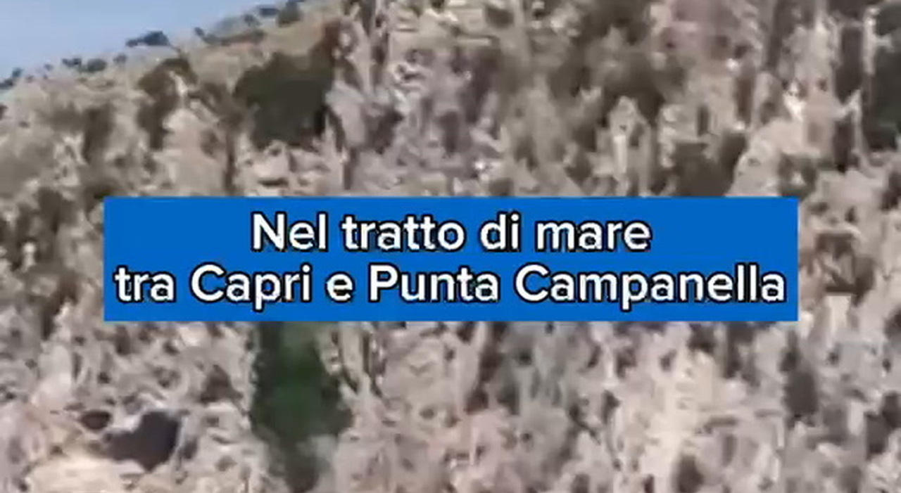https://statics.cedscdn.it/photos/MED_HIGH/2026/05/19/9541849_poster.jpg