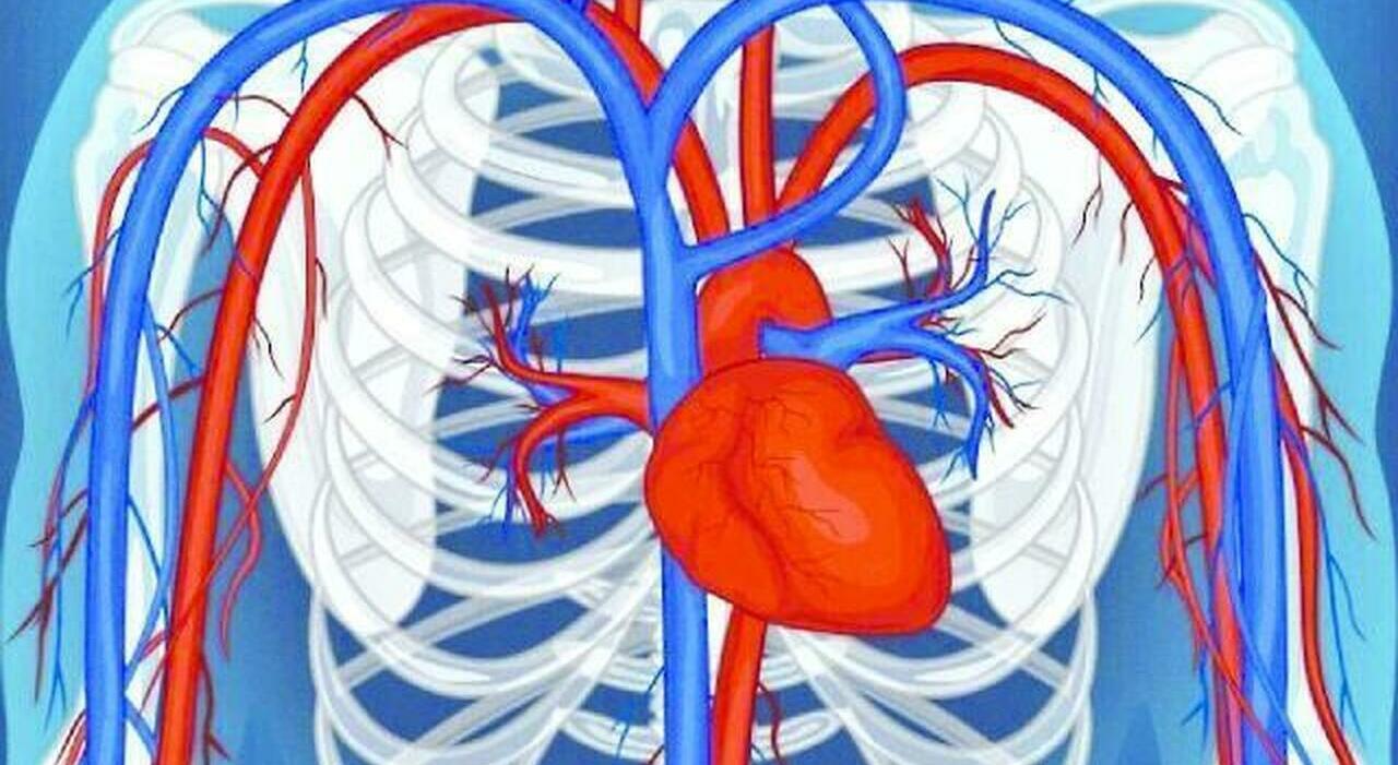 High Blood Pressure: When It Is Dangerous and How to Manage It