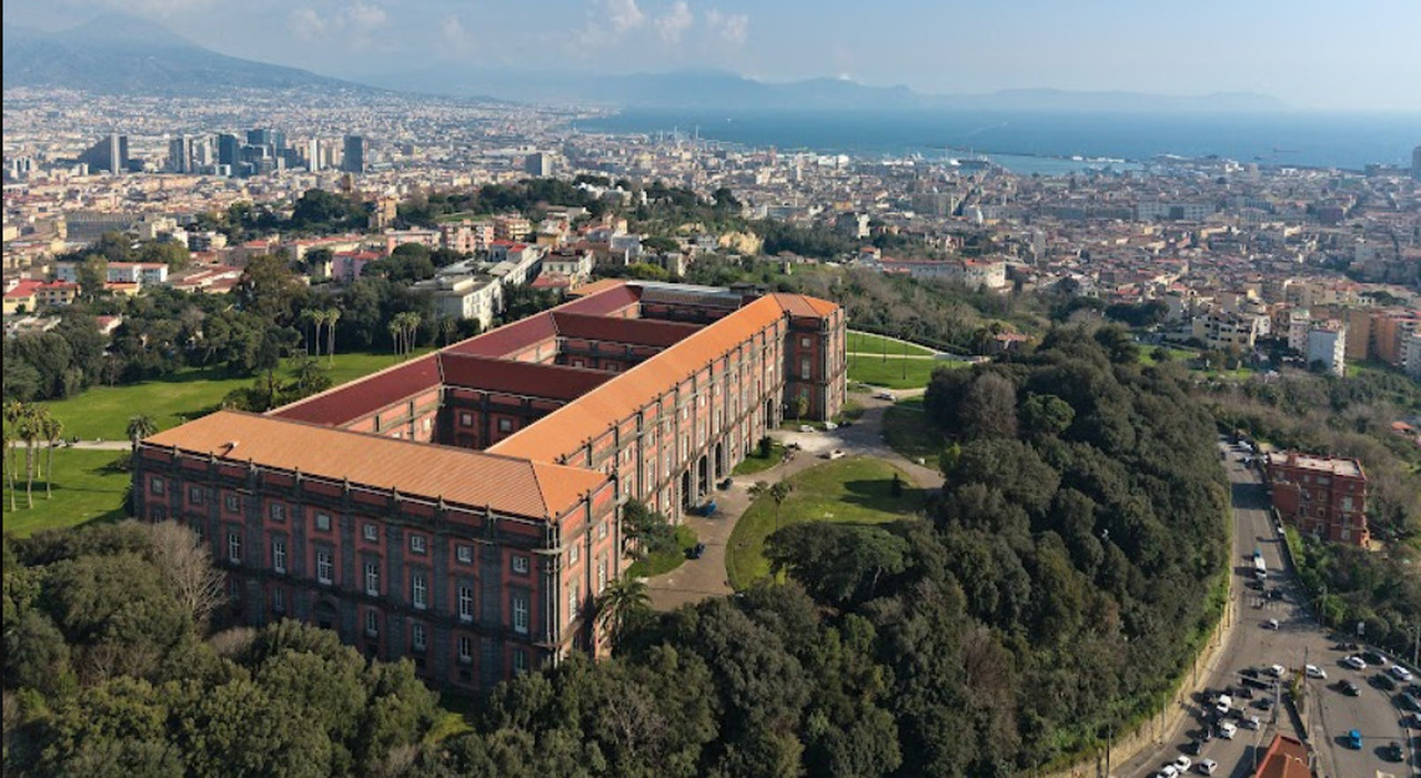 https://statics.cedscdn.it/photos/MED_HIGH/2026/05/20/9543896_20145900_dddd.jpg
