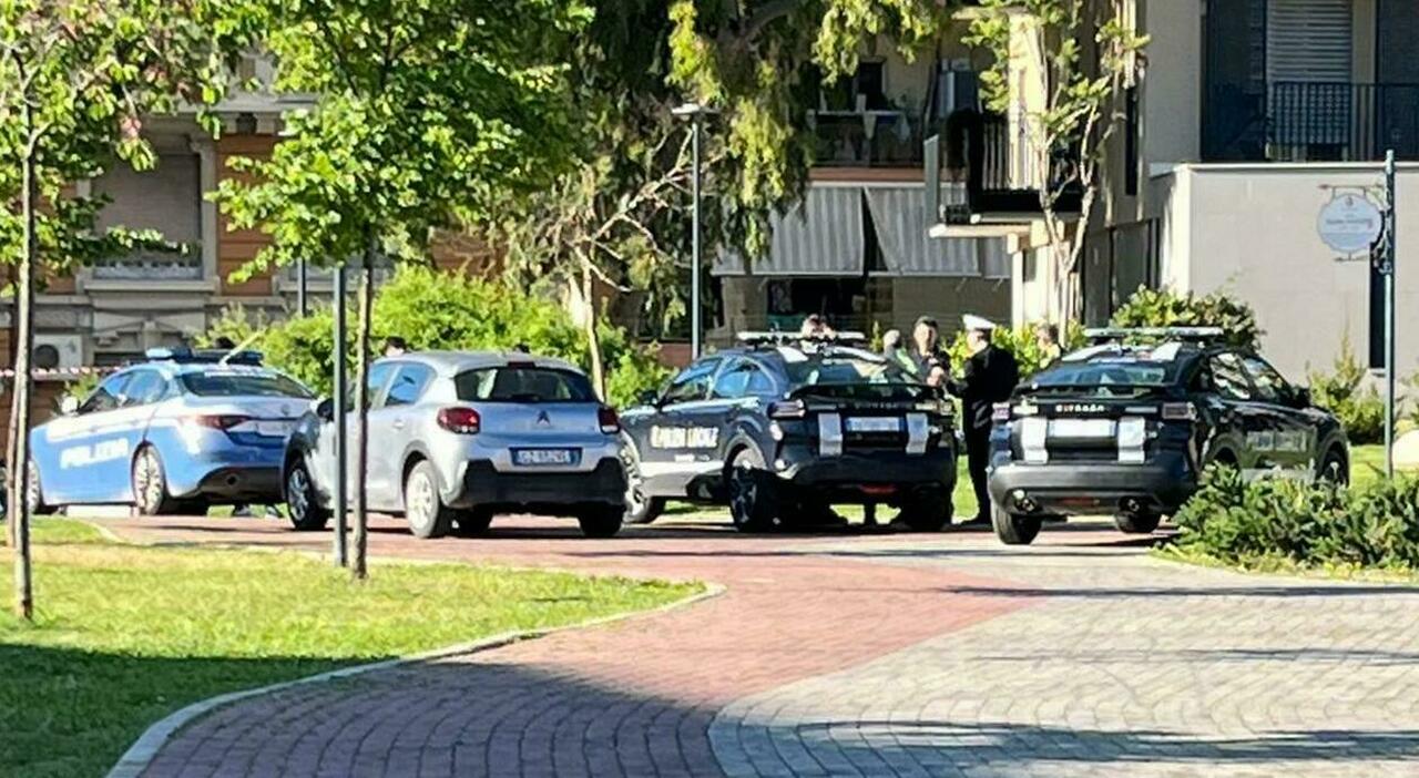 mistero al parco scoperta choc trovato un teschio da Quotidianodipuglia.it mistero al parco scoperta choc trovato un teschio