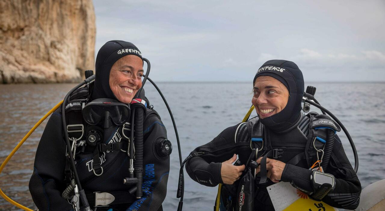 maldive il sub finlandese che ha recuperato i corpi non ci sono correnti nella grotta impossibile essere risucchiati da Ilmessaggero.it maldive il sub finlandese che ha recuperato i corpi non ci sono correnti nella grotta impossibile essere risucchiati