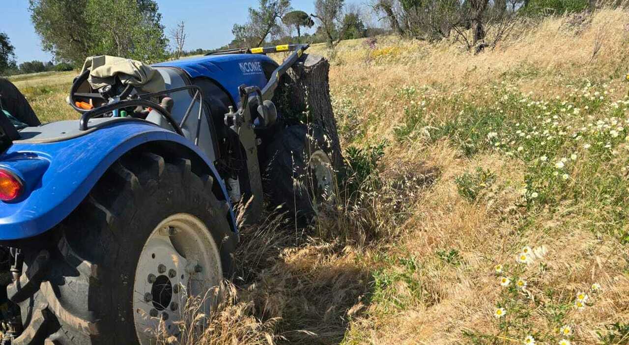 morto a 60 anni sul trattore malore mentre lavora in campagna da Quotidianodipuglia.it morto a 60 anni sul trattore malore mentre lavora in campagna