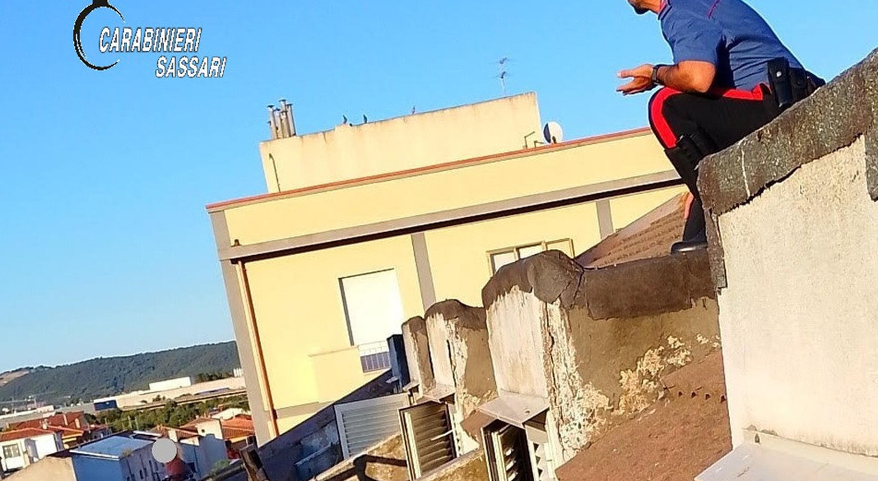 https://statics.cedscdn.it/photos/MED_HIGH/2026/05/22/9548168_22114746_carabinieri_salvano_suicidio.jpg