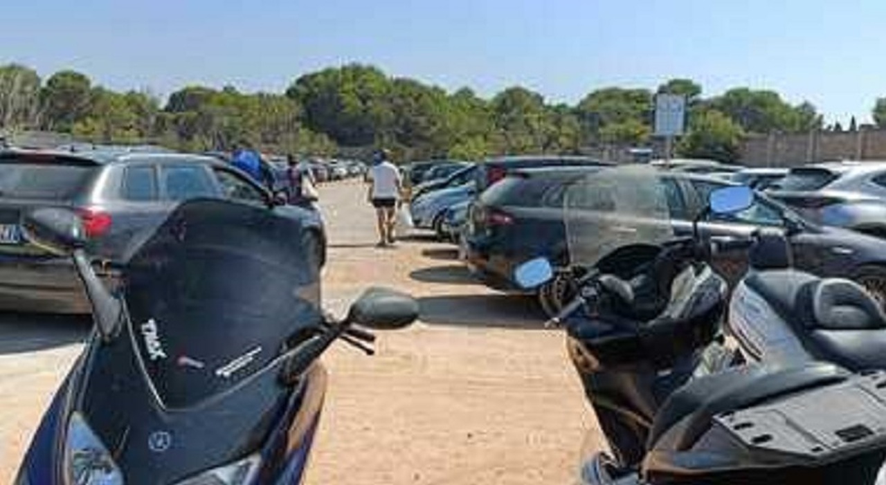 parcheggi 232 rivoluzione punta pizzo dice addio a 3mila auto sul litorale da Quotidianodipuglia.it parcheggi 232 rivoluzione punta pizzo dice addio a 3mila auto sul litorale