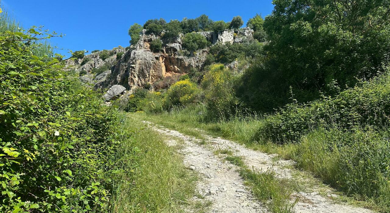 https://statics.cedscdn.it/photos/MED_HIGH/2026/05/23/9550144_23111140_anagni.tragedia.23.5.26.jpg
