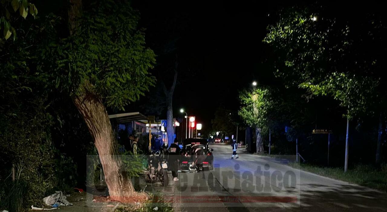 castelferretti perde il controllo della moto e si schianta contro un albero grave un ragazzo di 14 anni l incidente sotto gli occhi degli amici da Corriereadriatico.it castelferretti perde il controllo della moto e si schianta contro un albero grave un ragazzo di 14 anni l incidente sotto gli occhi degli amici