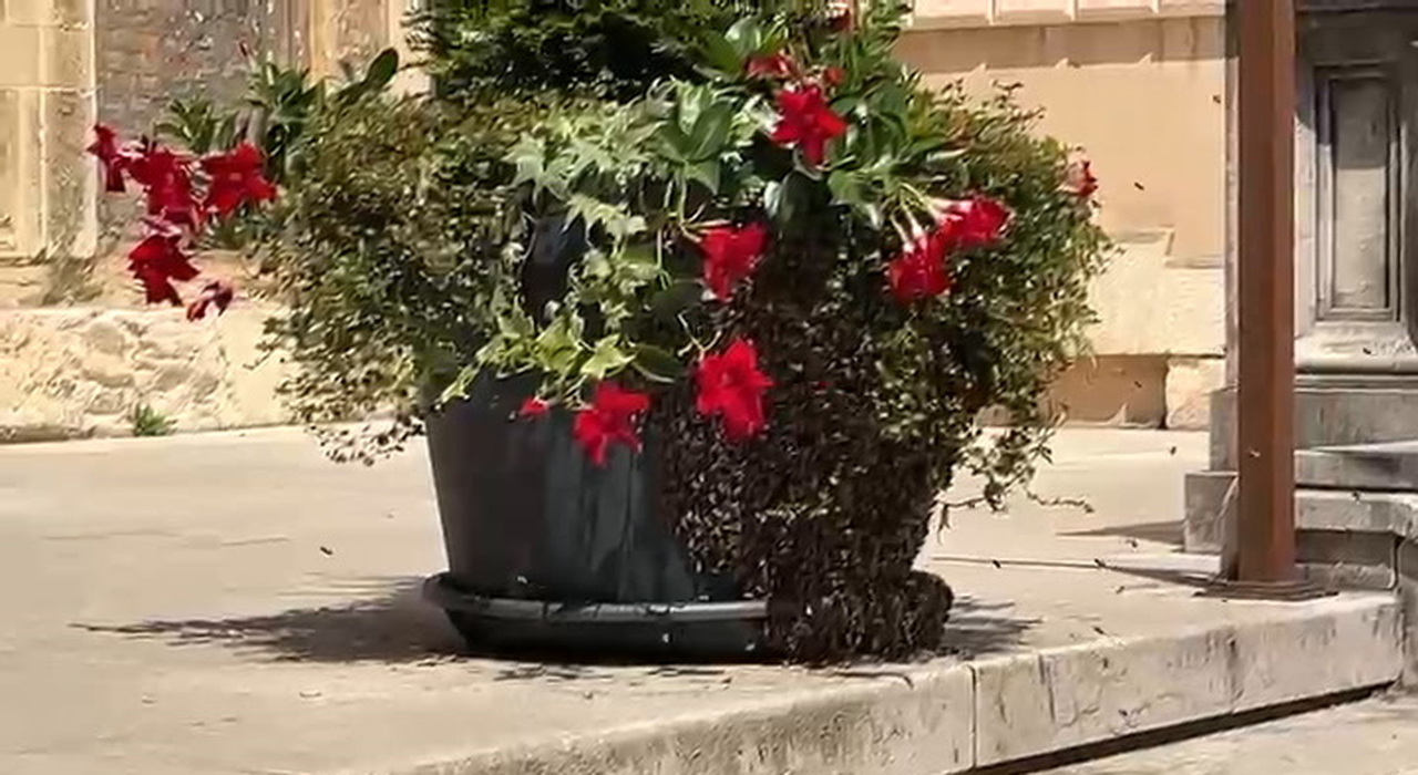 https://statics.cedscdn.it/photos/MED_HIGH/2026/05/27/9557712_poster.jpg