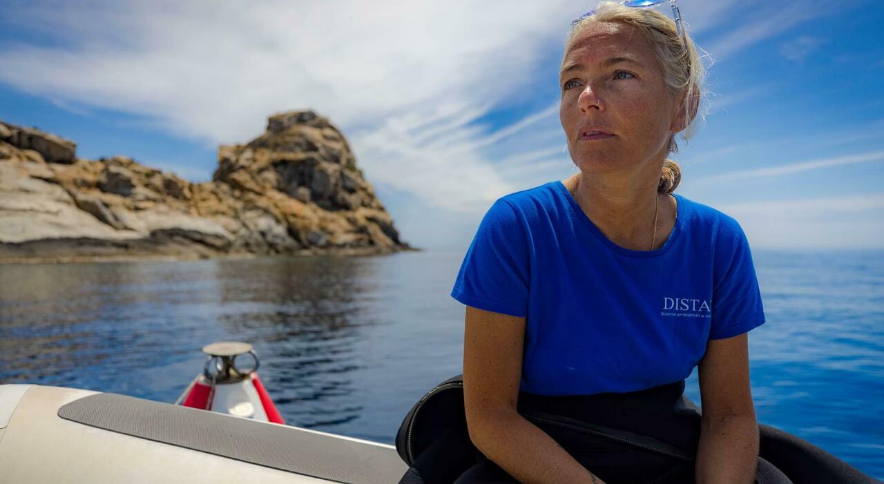 https://statics.cedscdn.it/photos/MED_HIGH/2026/05/29/9561962_29110040_sub_morti_maldive_monica_montefalcone_immersioni_universita_di_genova_blue_hole.jpg