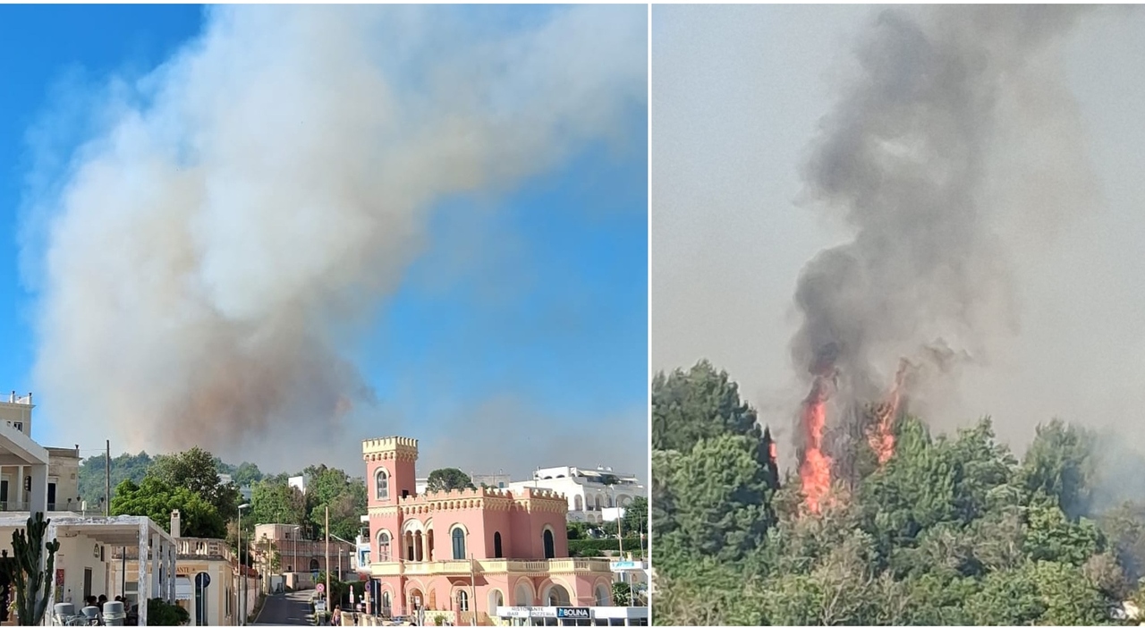 incendio a tricase porto fiamme vicino alle case e famiglie evacuate nel salento da Quotidianodipuglia.it incendio a tricase porto fiamme vicino alle case e famiglie evacuate nel salento