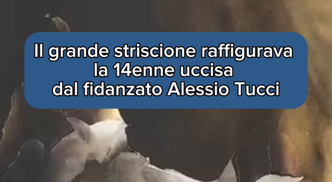 https://statics.cedscdn.it/photos/MED_HIGH/2026/05/30/9564264_poster.jpg