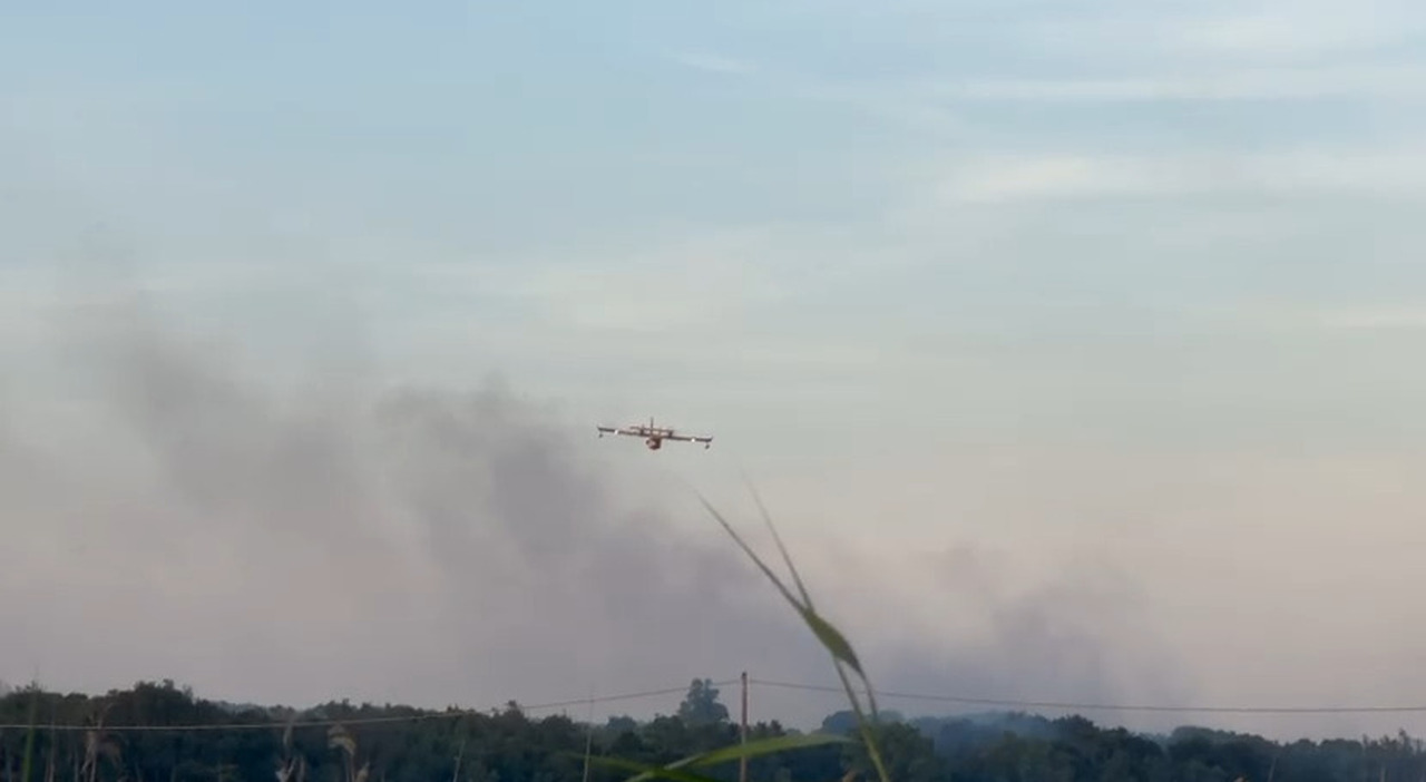 salento scoppia l incendio a due passi dal mare da Quotidianodipuglia.it salento scoppia l incendio a due passi dal mare