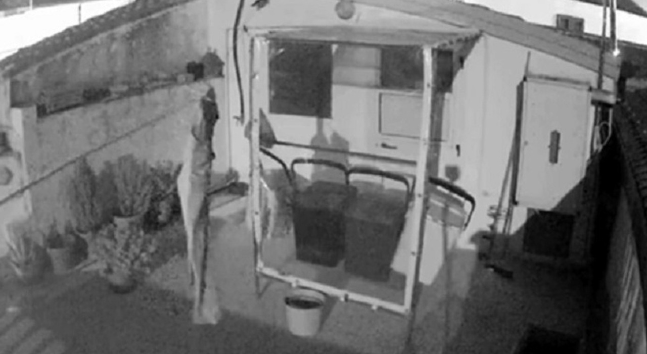 https://statics.cedscdn.it/photos/MED_HIGH/2026/06/02/9567886_02091548_terremoto_calabria.jpg