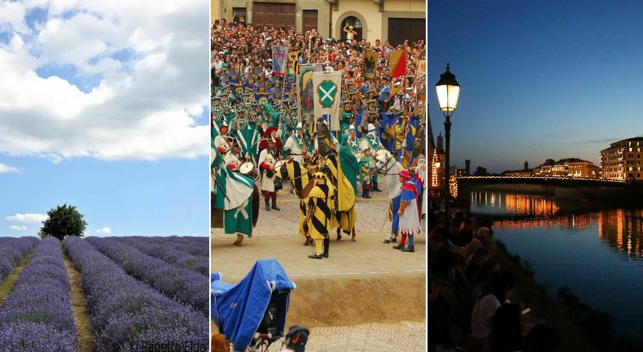https://statics.cedscdn.it/photos/MED_HIGH/2026/06/04/9573140_04140118_eventi_giugno_2026_luminara_pisa_saracino_arezzo_fioritura_castelluccio.jpg