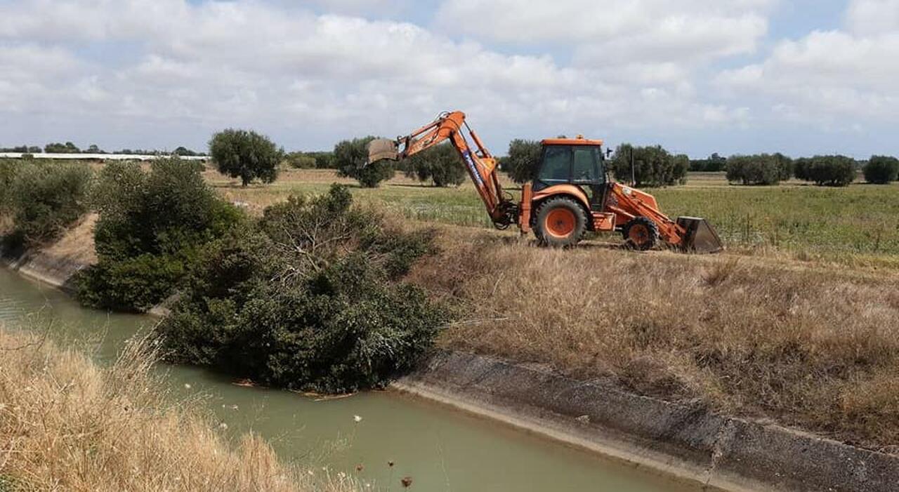 cartelle consorzio bonifica e xylella ipotesi cancellazione per dieci anni dal 2013 al 2023 da Quotidianodipuglia.it cartelle consorzio bonifica e xylella ipotesi cancellazione per dieci anni dal 2013 al 2023