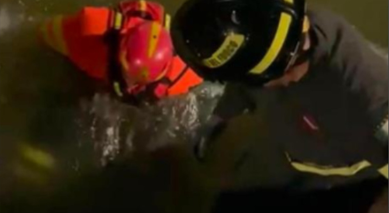 senigallia si getta da ponte zavatti e vola per 14 metri 25enne grave trovata una lettera da Corriereadriatico.it senigallia si getta da ponte zavatti e vola per 14 metri 25enne grave trovata una lettera