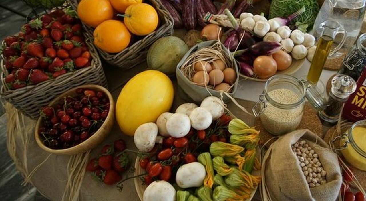 l alimento dimenticato che pu242 allungare la vita il segreto della longevit224 232 nel piatto da Quotidianodipuglia.it l alimento dimenticato che pu242 allungare la vita il segreto della longevit224 232 nel piatto
