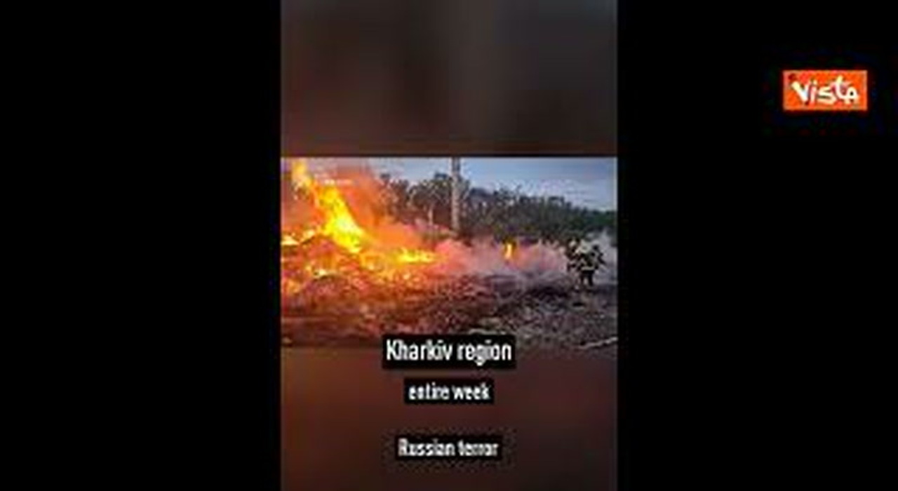 https://statics.cedscdn.it/photos/MED_HIGH/2026/06/08/9580368_poster.jpg