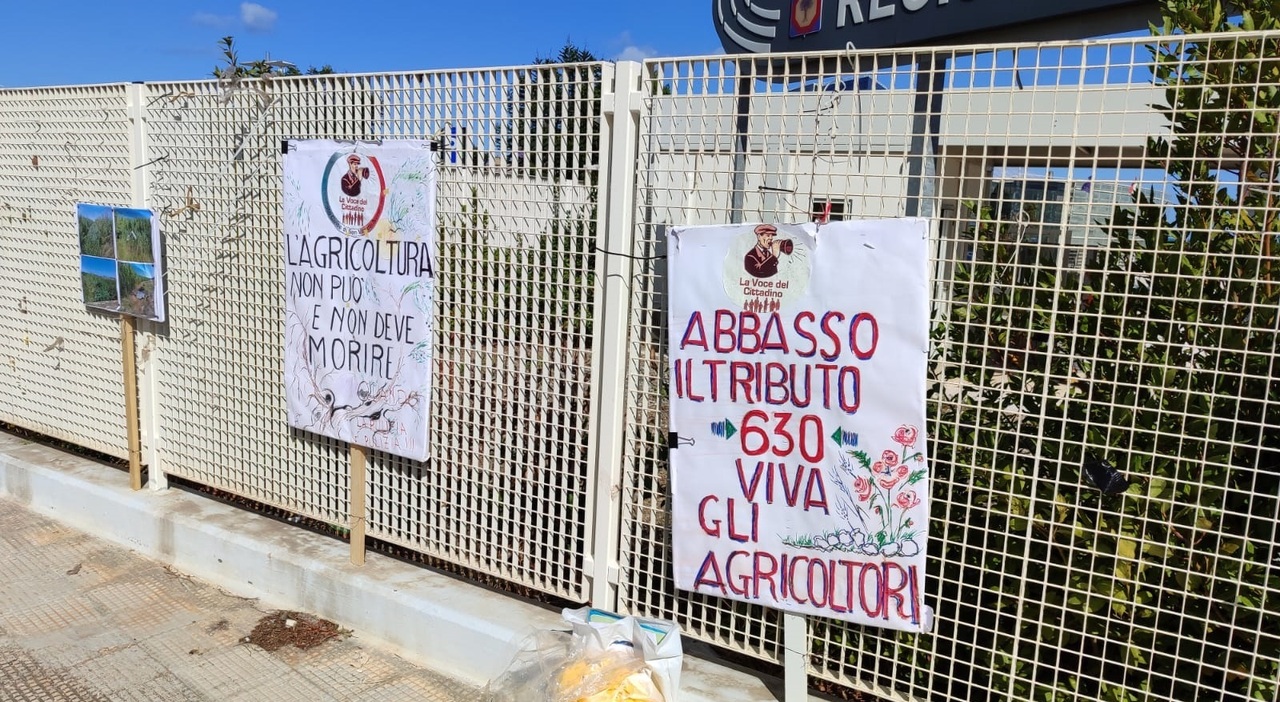 consorzio c232 la svolta il servizio idrico ad aqp risparmio di 6 milioni per abbattere le cartelle da Quotidianodipuglia.it consorzio c232 la svolta il servizio idrico ad aqp risparmio di 6 milioni per abbattere le cartelle