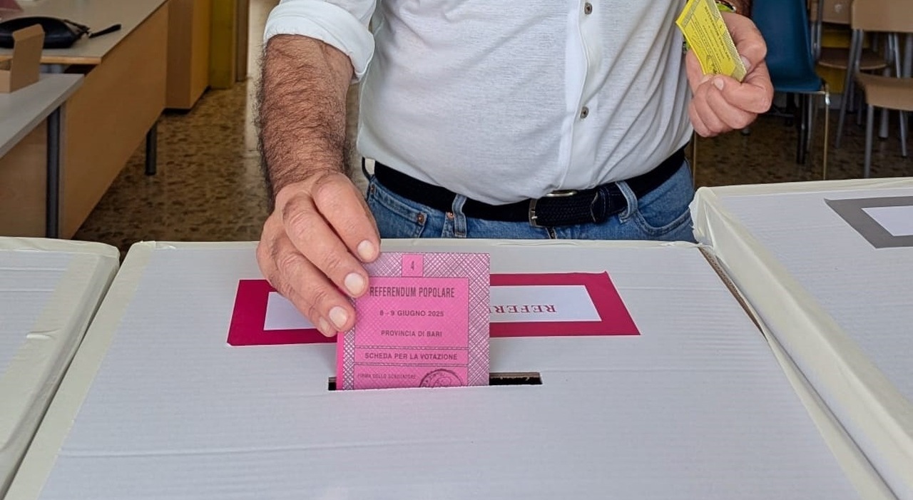 in puglia il pd elegge 48 consiglieri fdi secondo solo la met224 m5s e fi quasi alla pari da Quotidianodipuglia.it in puglia il pd elegge 48 consiglieri fdi secondo solo la met224 m5s e fi quasi alla pari
