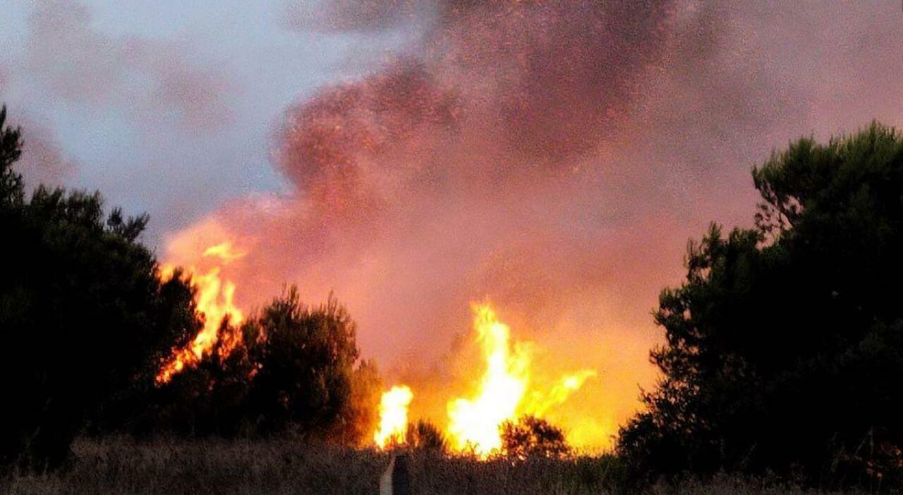 la puglia da luned236 ad alto rischio incendi il piano della regione per prevenire da Quotidianodipuglia.it la puglia da luned236 ad alto rischio incendi il piano della regione per prevenire