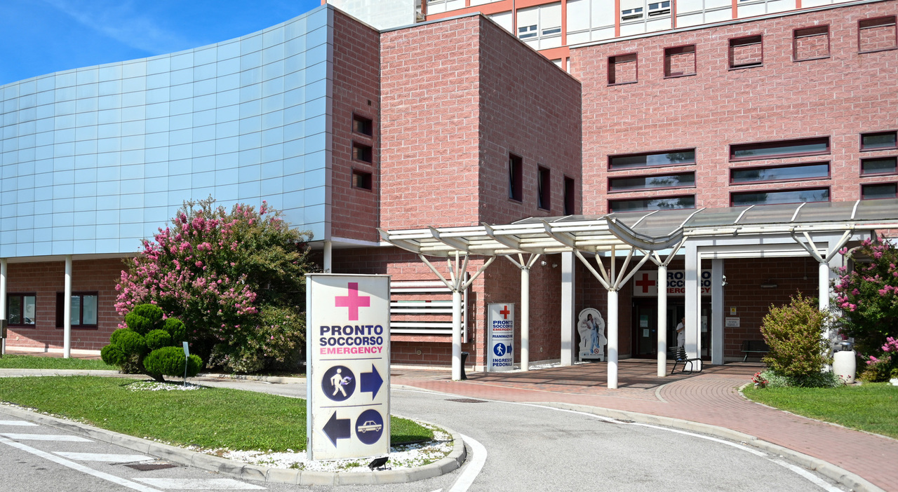paziente prende a calci il medico del pronto soccorso che lo stava visitando ferita anche l infermiera del reparto stefani inaccettabile da Ilgazzettino.it paziente prende a calci il medico del pronto soccorso che lo stava visitando ferita anche l infermiera del reparto stefani inaccettabile