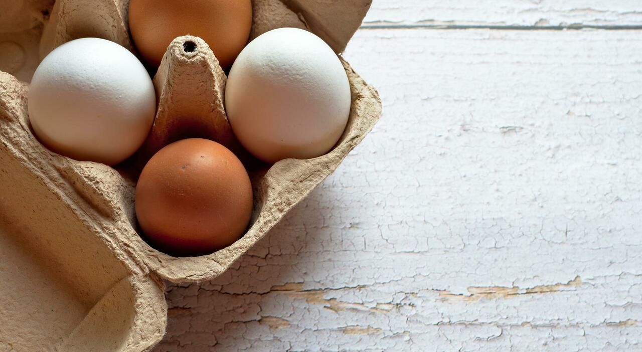 https://statics.cedscdn.it/photos/MED_HIGH/2026/06/10/9583986_10104245_peggychoucair_easter_eggs_6035549.jpg