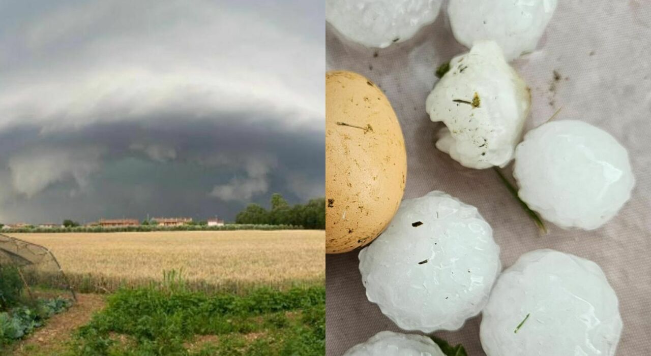 grandine grossa e vento forte nell asolano e su montebelluna danni ingenti alle coltivazioni da Ilgazzettino.it grandine grossa e vento forte nell asolano e su montebelluna danni ingenti alle coltivazioni