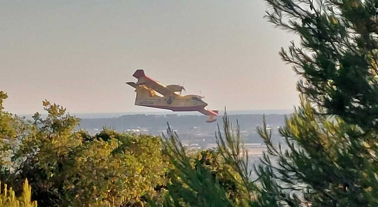 incendi sos prevenzione non ci sono i canadair e pochi vigili del fuoco da Quotidianodipuglia.it incendi sos prevenzione non ci sono i canadair e pochi vigili del fuoco