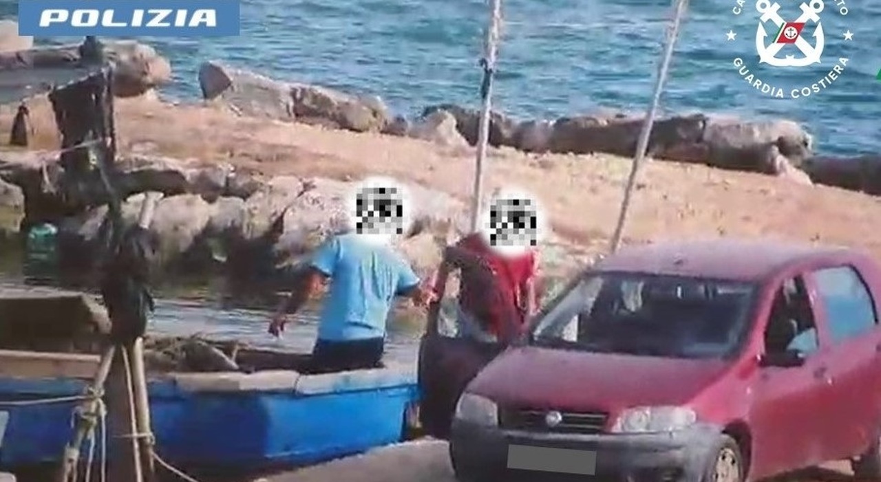 taranto sequestrate 20 tonnellate di cozze fuori legge nel mar piccolo da Quotidianodipuglia.it taranto sequestrate 20 tonnellate di cozze fuori legge nel mar piccolo