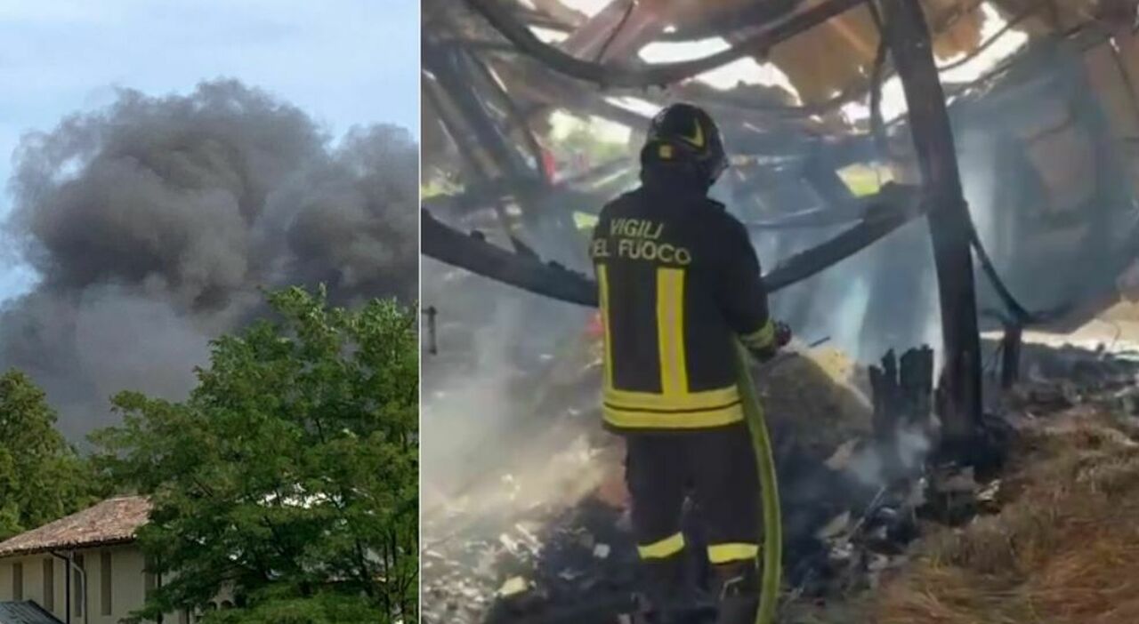 incendio alle scuderie dell ippodromo crolla una parte della struttura morti 6 cavalli da Ilgazzettino.it incendio alle scuderie dell ippodromo crolla una parte della struttura morti 6 cavalli